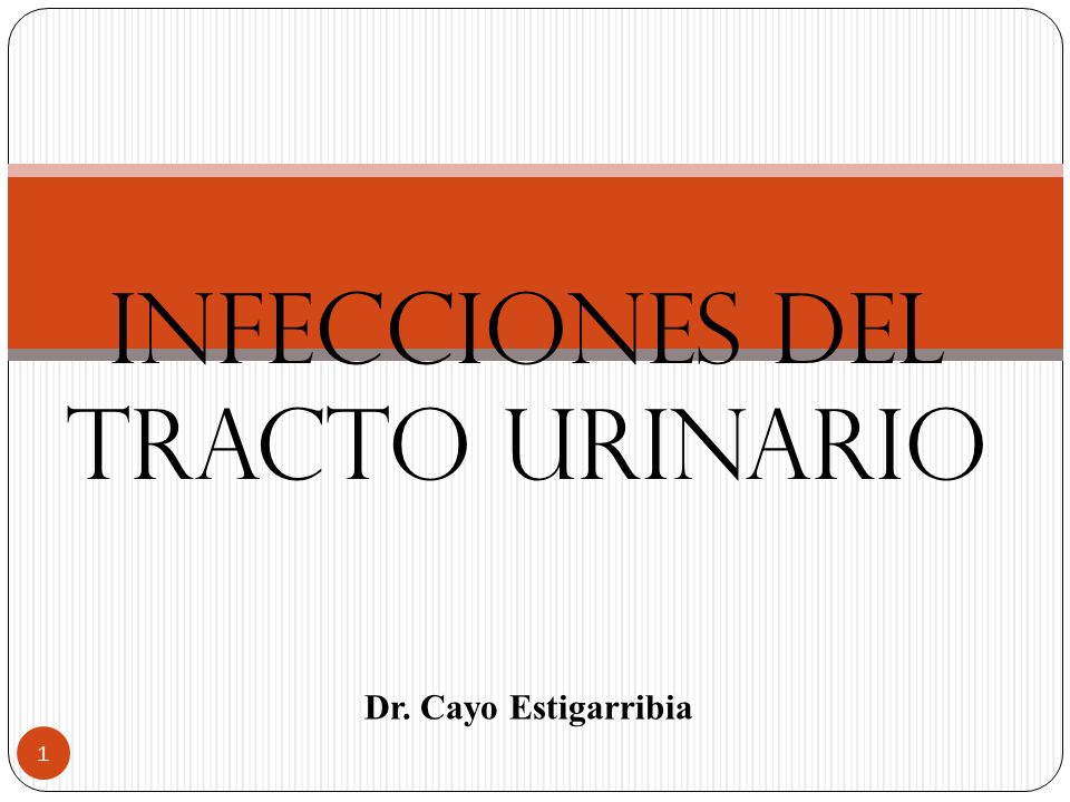 Infeccion urinaria aguda pdf